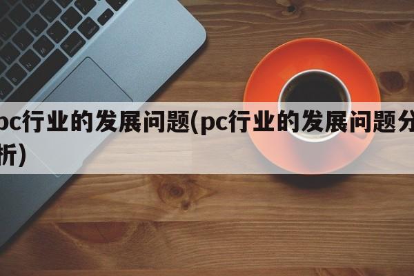 pc行业的发展问题(pc行业的发展问题分析)